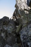 IMG 0246