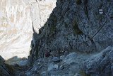 IMG 0247