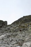 IMG 0062