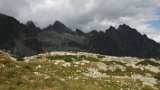IMG 0079