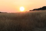 IMG 4317