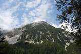 IMG 0695