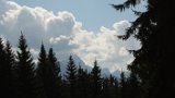 IMG 0749