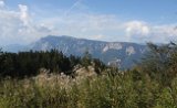 IMG 0753