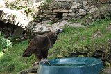 IMG 0770