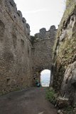 IMG 0774
