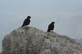 IMG 0807