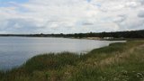 IMG 0629