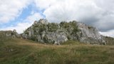 IMG 0638