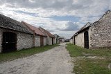 IMG 0649