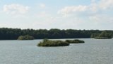 IMG 0611