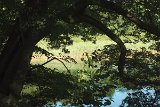 IMG 0618