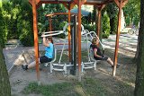 IMG 0622