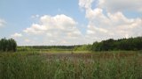 IMG 1919