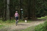 IMG 2405