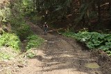 IMG 2406