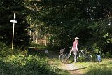 IMG 2417