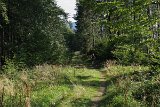 IMG 2418