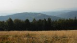 IMG 2424