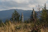 IMG 2433