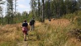 IMG 2441