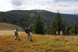IMG 2447