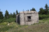 IMG 2270