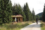 IMG 2291