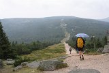 IMG 2302