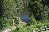 IMG 2310