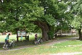 IMG 2311