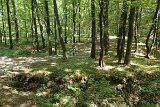IMG 5408