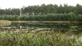 IMG 7519