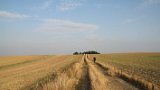 IMG 0058