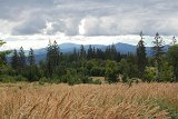 IMG 9798