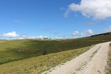 IMG 8583