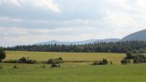 IMG 0235