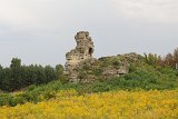 IMG 2115
