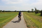 IMG 2119