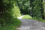 IMG 1716