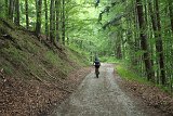 IMG 1717