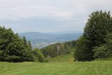 IMG 1727