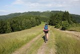 IMG 1731