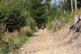 IMG 2089