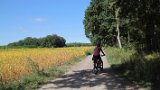 IMG 3778