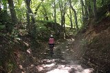 IMG 3780