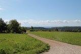 IMG 3782