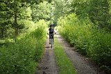 IMG 3311