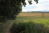 IMG 3313
