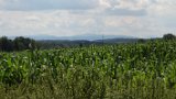 IMG 3314